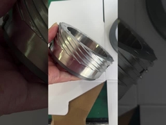 Schneckenpumpegleitringdichtung