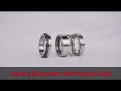 Gleitringdichtungsfabrik in China