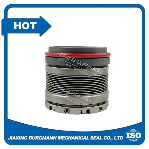 Latest company news about Vorteile und Bedienungsanweisungen für mechanische Dichtungen mit Metallbellen